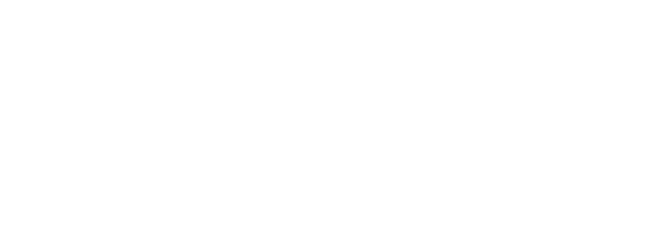Brand Logos Inversed_Doppstadt