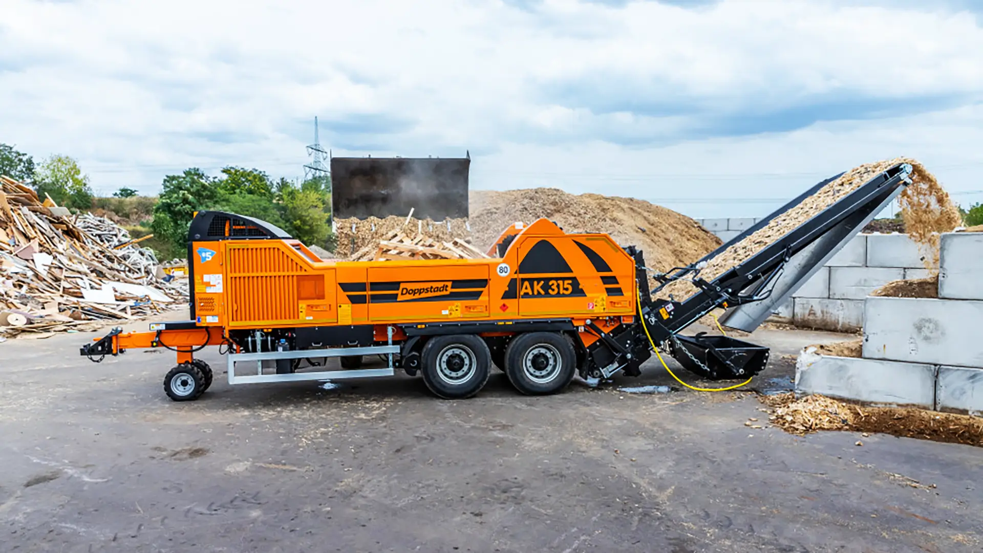 AK 315 High-Speed Grinder - Ecoverse