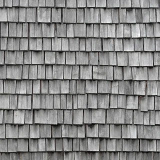 Shingles