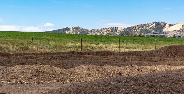 An image of Table to Farm Compost piles, with mountains in the background.
