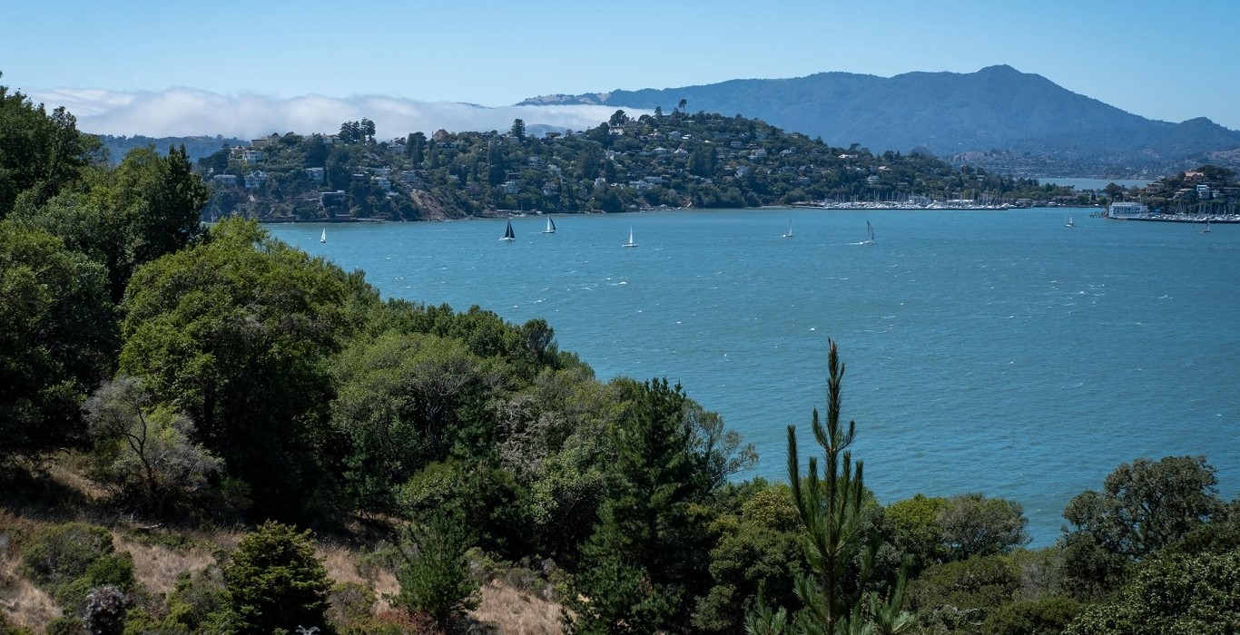A view of Marin County, CA, with trees and a lake in the foreground, and mountains in the background.