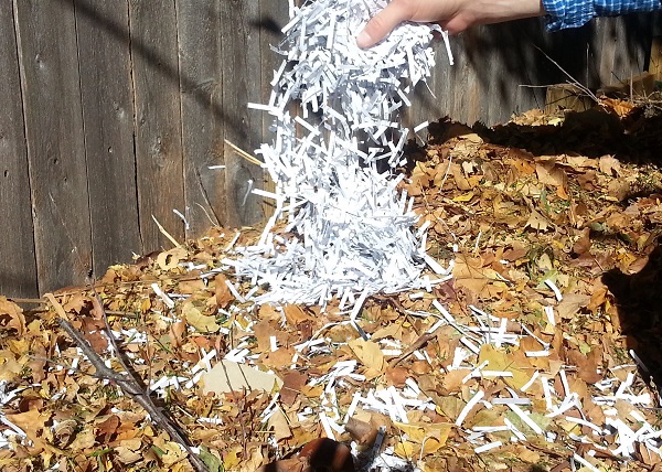Shredded paper is added by hand to a compost pile.
